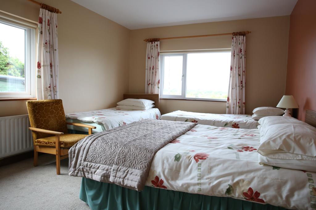 Hill View Farm Bed and Breakfast Cong Værelse billede